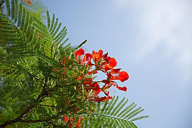 Crytek官宣：《孤岛危机4》开发中！预热视频公开